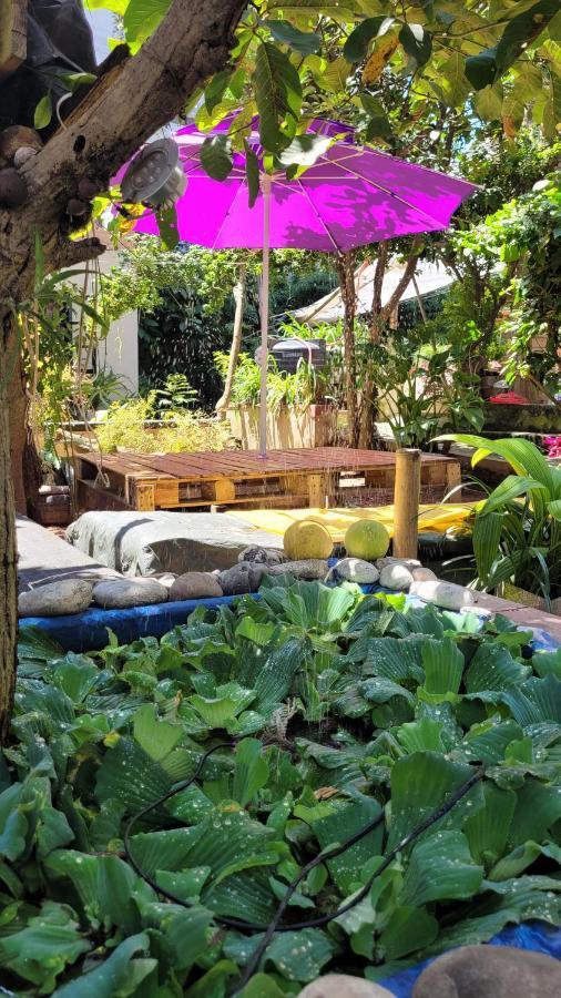 Laughing Buddha Guest House & Villa Katmandou Extérieur photo